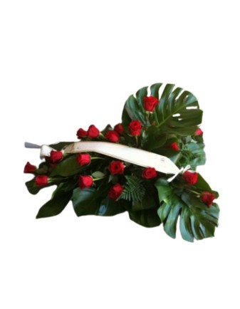 Palma en Nuestro Corazón