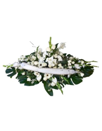 Palma Alguien Irremplazable