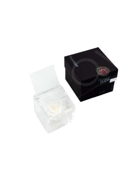 FLOWERCUBE 6X6 BLANCO