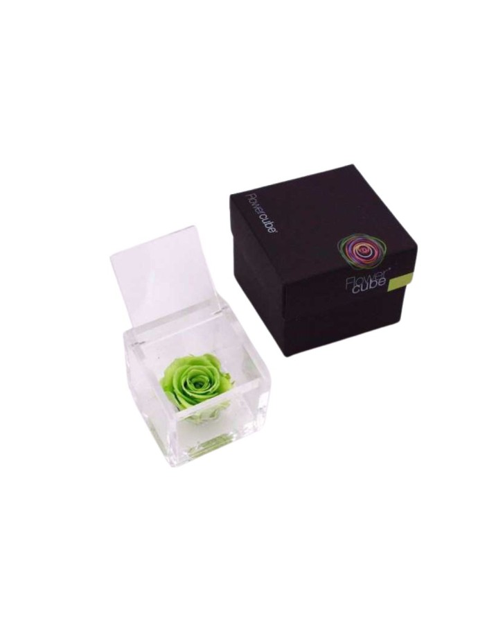 FLOWERCUBE 6X6 VERDE