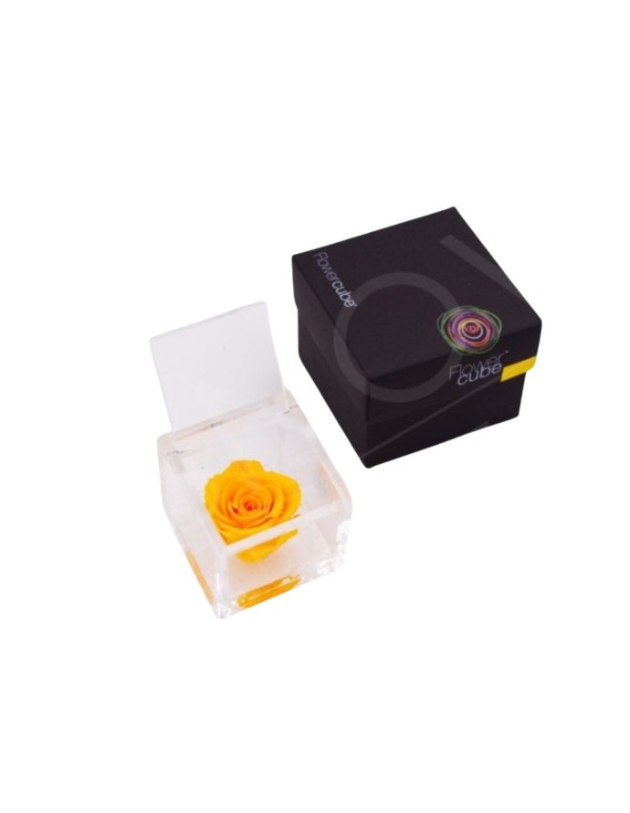FLOWERCUBE 6X6 AMARILLO