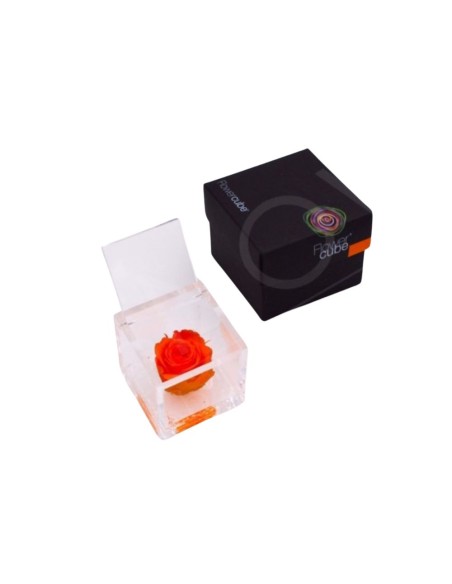 FLOWERCUBE 6X6 NARANJA