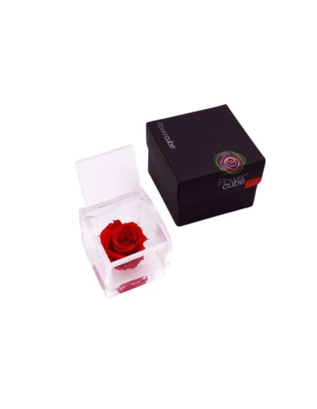 FLOWERCUBE 6X6 ROJO