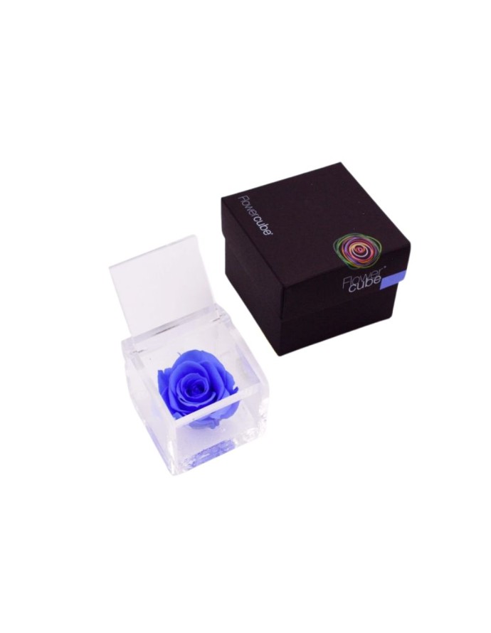 FLOWERCUBE 6X6 AZUL CLARO