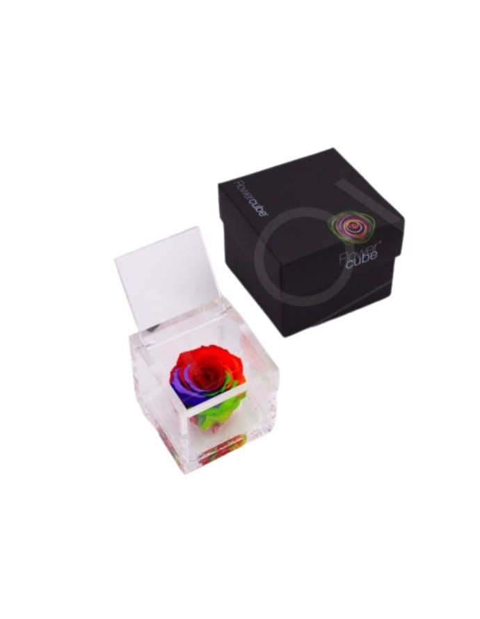 FLOWERCUBE ROSA 6X6 MULTICOLOR