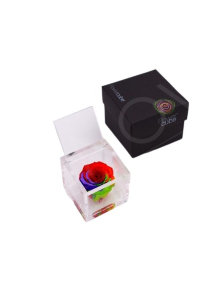 FLOWERCUBE ROSA 6X6 MULTICOLOR