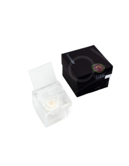 FLOWERCUBE ROSA 8X8 BLANCO