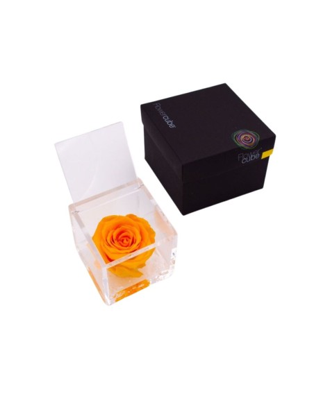 FLOWERCUBE ROSA 8X8 AMARILLO