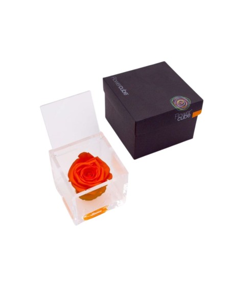 FLOWERCUBE ROSA 8X8 NARANJA