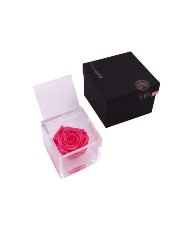 FLOWERCUBE ROSA 8X8 ROSA