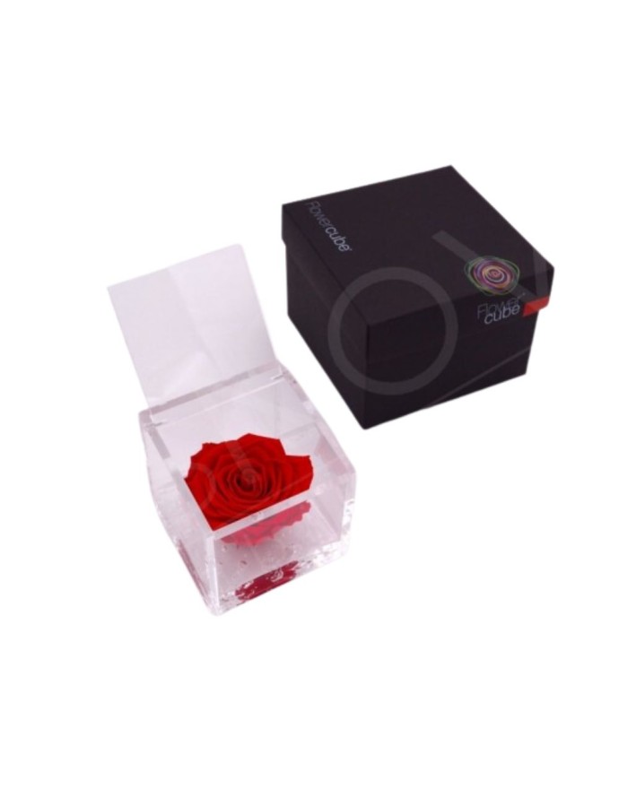 FLOWERCUBE ROSA 8X8 ROJA