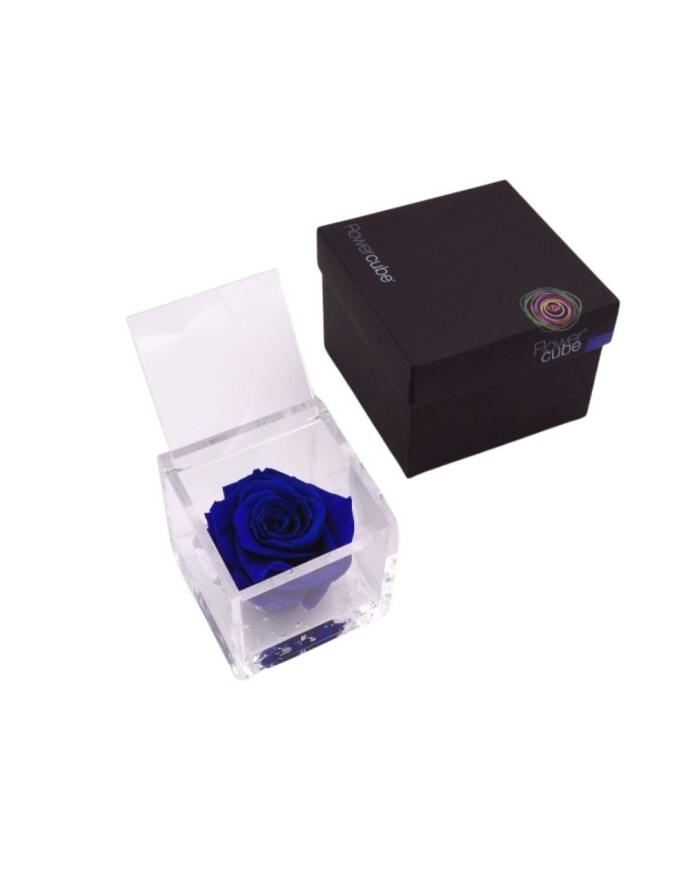 FLOWERCUBE ROSA 8X8 AZUL OSCURO