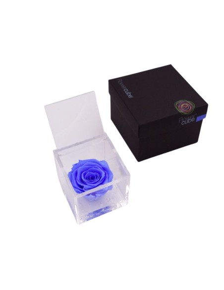 FLOWERCUBE ROSA 8X8 AZUL CLARO