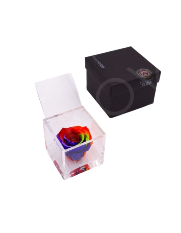 FLOWERCUBE ROSA 8X8 MULTICOLOR