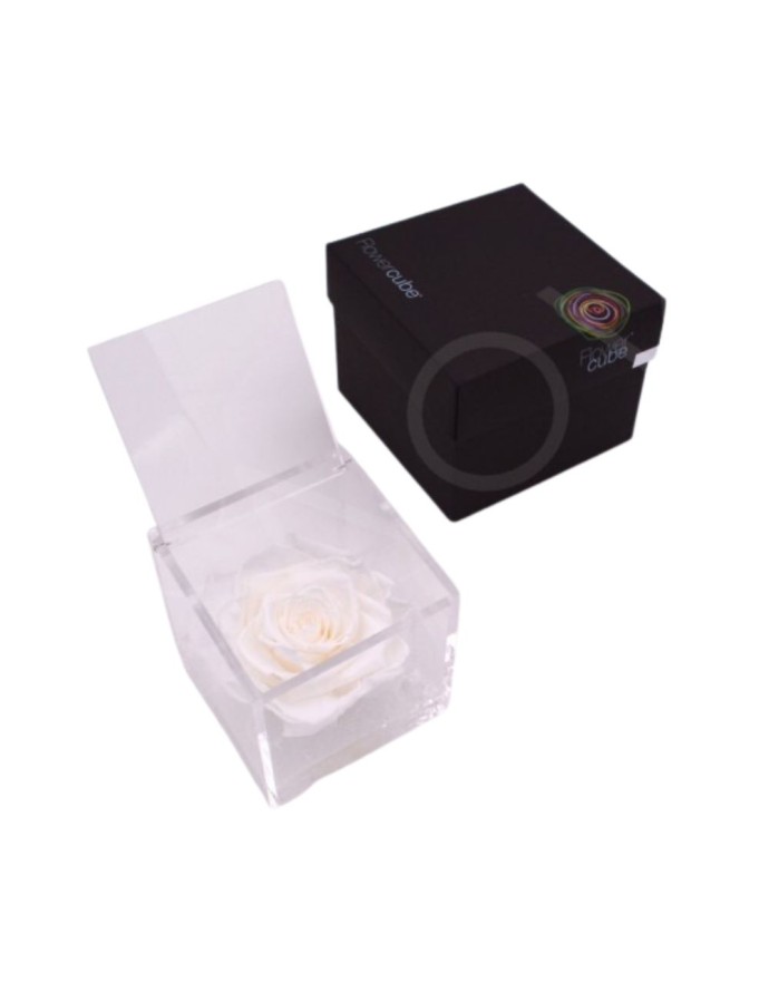 FLOWERCUBE ROSA 10X10 BLANCA