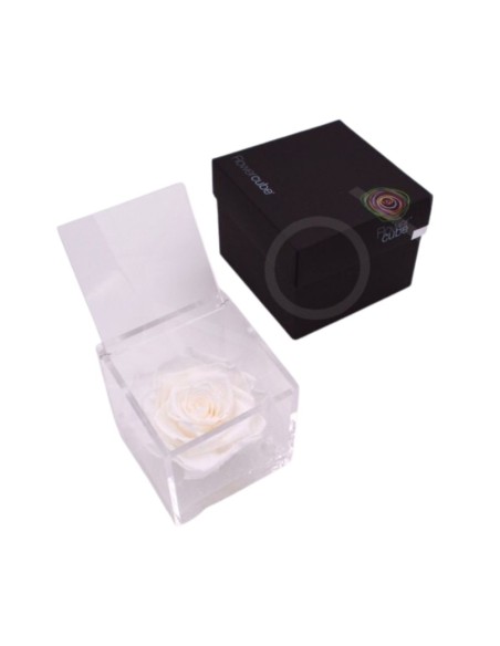 FLOWERCUBE ROSA 10X10 BLANCA