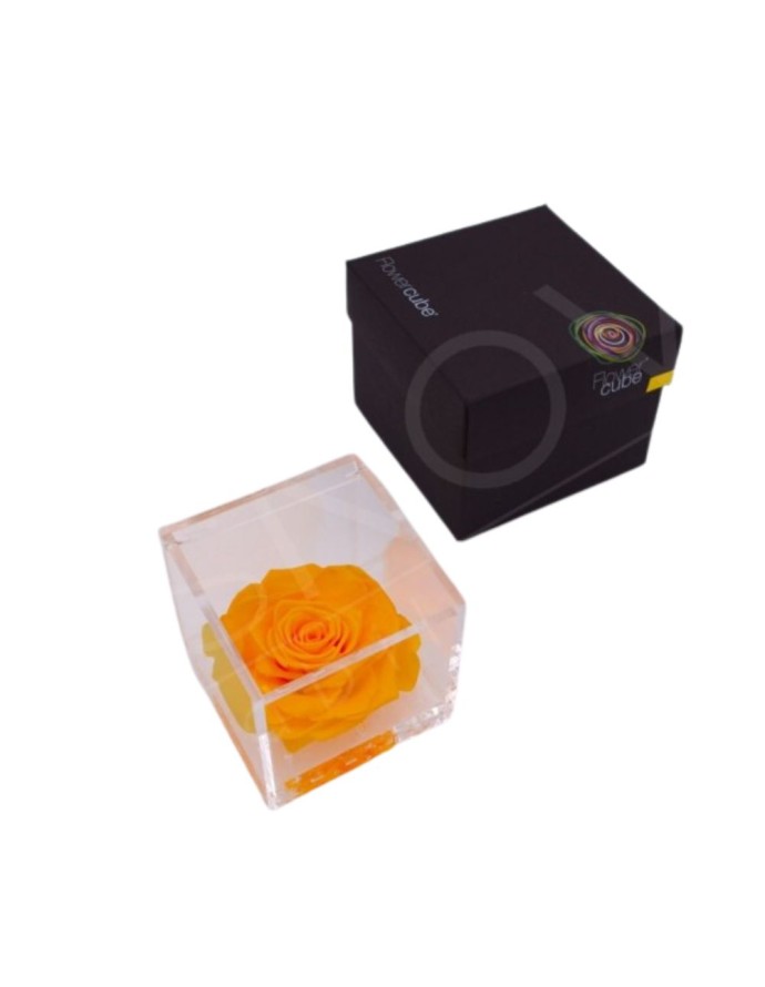 FLOWERCUBE ROSA 10X10 AMARILLA