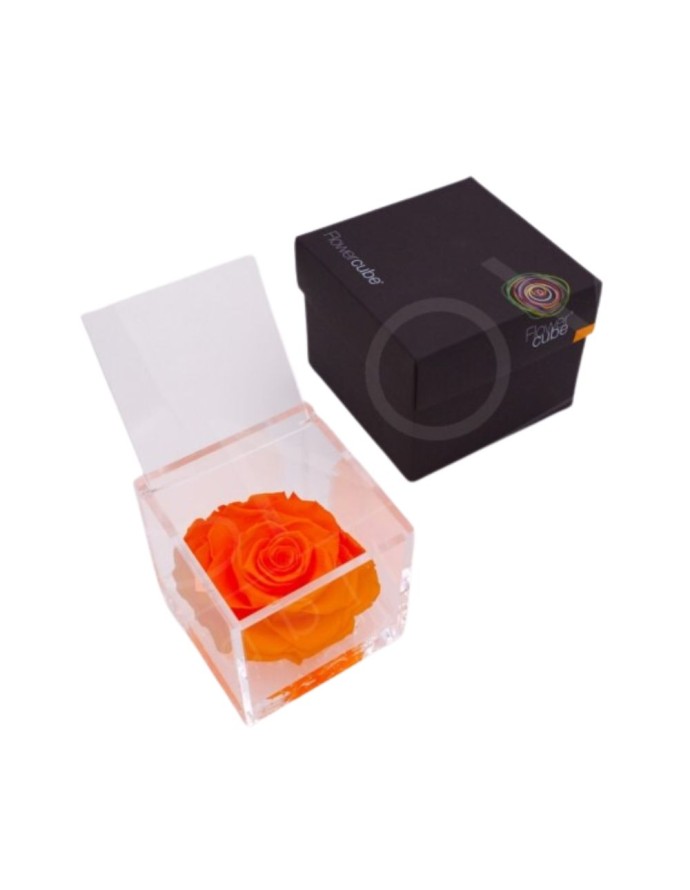 FLOWERCUBE ROSA 10X10 NARANJA