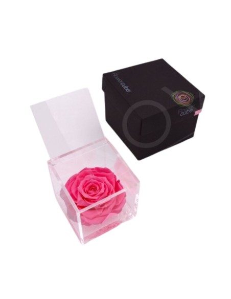 FLOWERCUBE ROSA 10X10 ROSA
