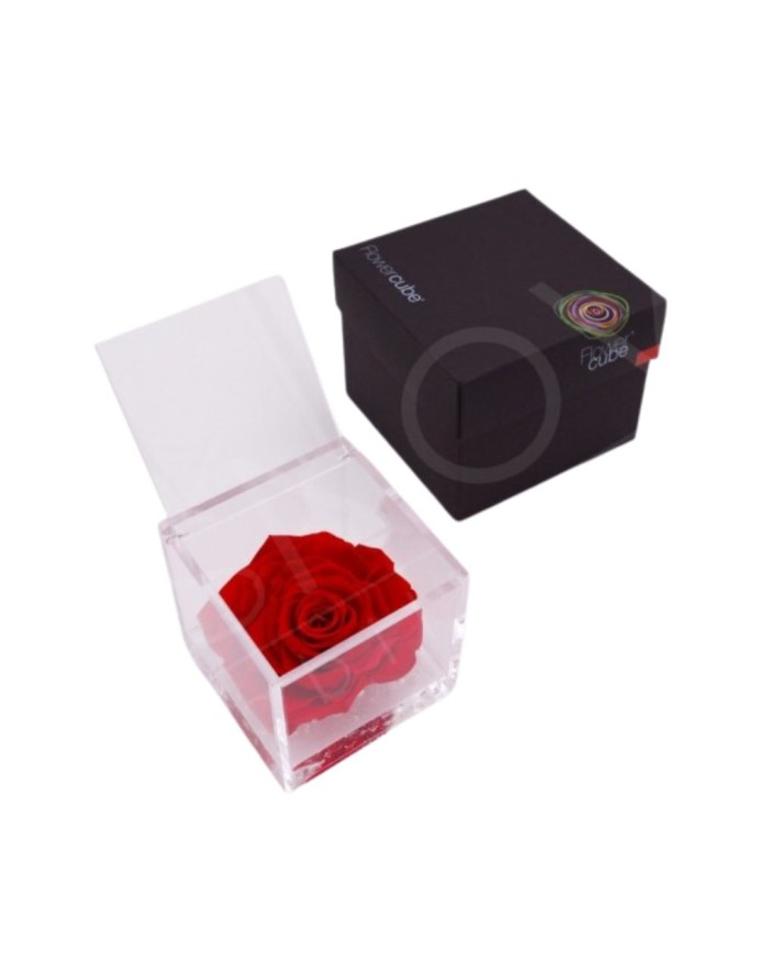 FLOWERCUBE ROSA 10X10 ROJO