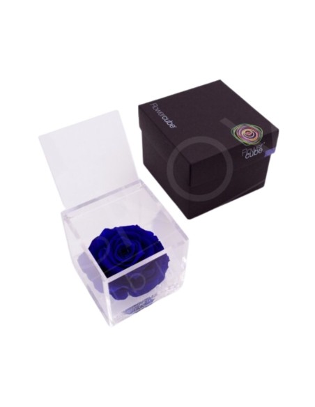 FLOWERCUBE ROSA 10X10 AZUL OSCURO