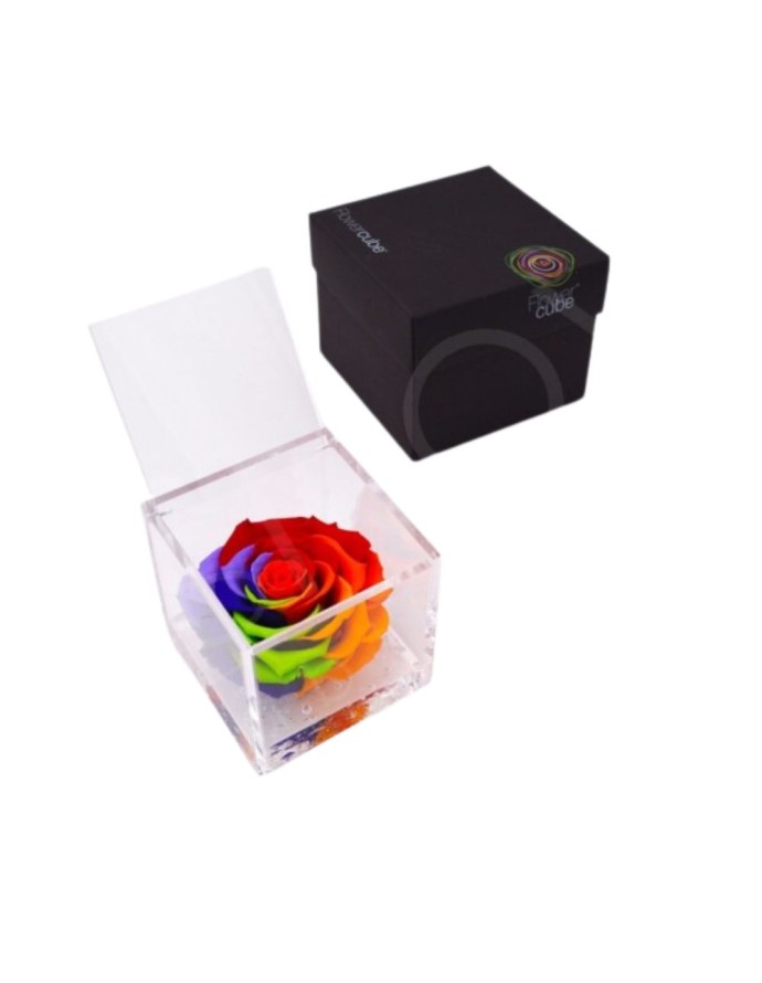 FLOWERCUBE ROSA 10X10 MULTICOLOR