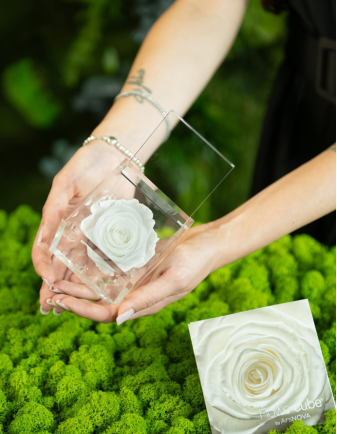 FLOWERCUBE ROSA 8X8 BLANCO 2