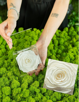 FLOWERCUBE ROSA 10X10 BLANCA 2
