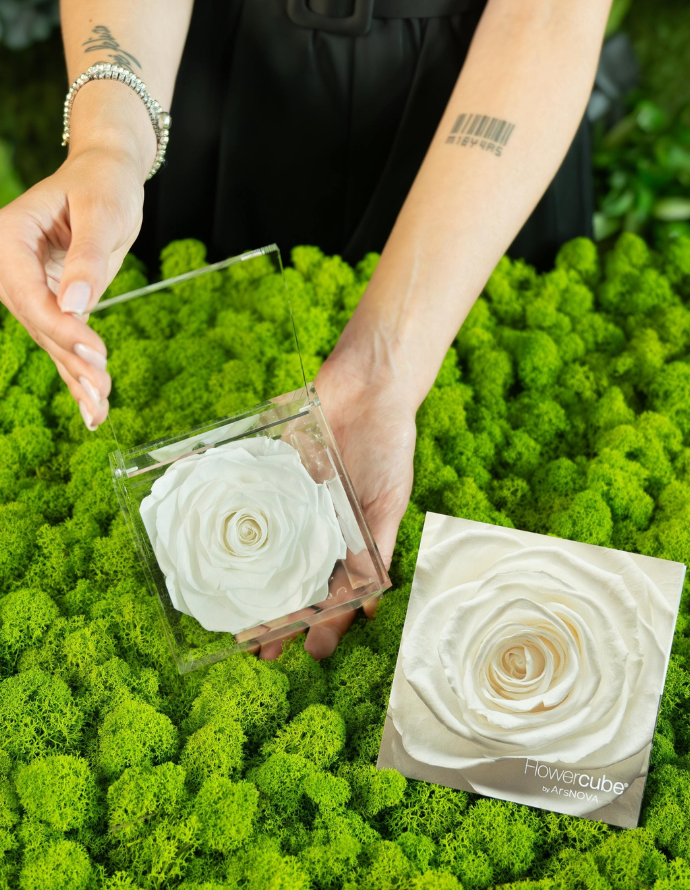 FLOWERCUBE ROSA 10X10 BLANCA