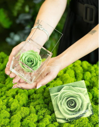 FLOWERCUBE 6X6 VERDE 2