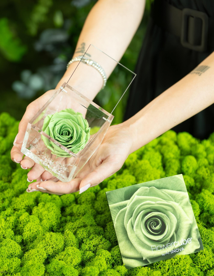 FLOWERCUBE 6X6 VERDE