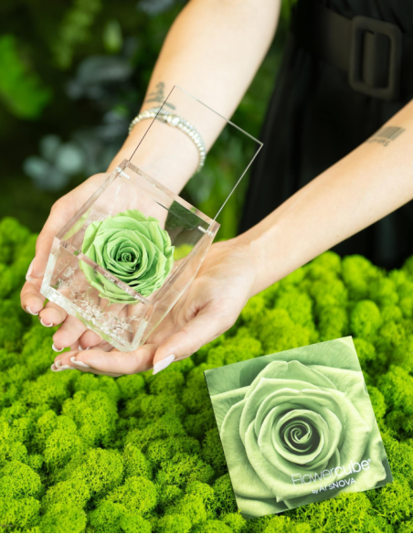 FLOWERCUBE 6X6 VERDE