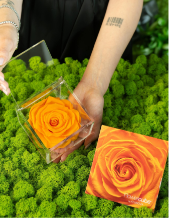 FLOWERCUBE ROSA 10X10 NARANJA 2