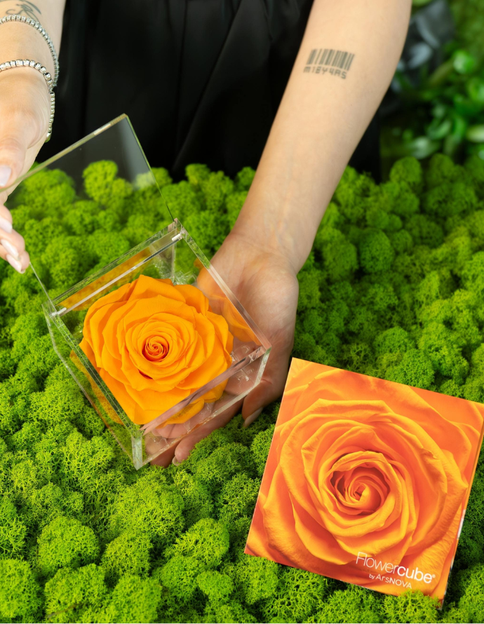 FLOWERCUBE ROSA 10X10 NARANJA