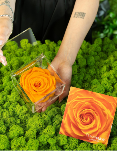 FLOWERCUBE ROSA 10X10 NARANJA