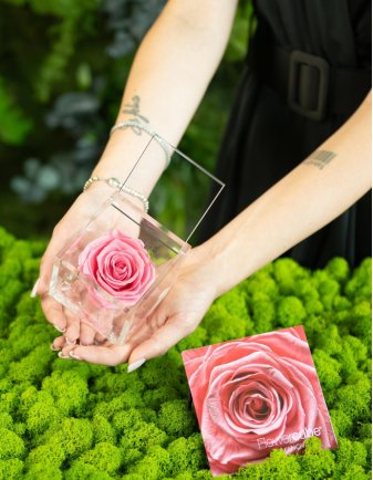 FLOWERCUBE 6X6 ROSA 2