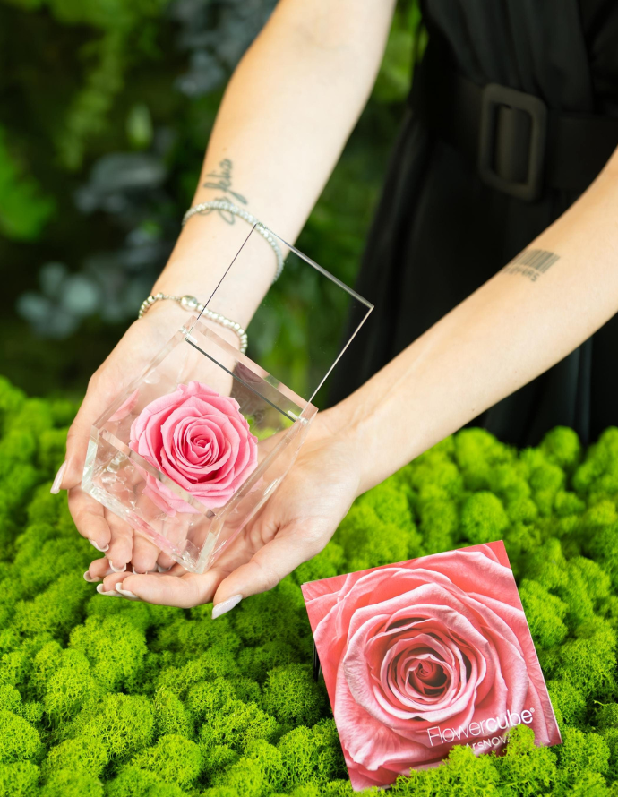 FLOWERCUBE 6X6 ROSA