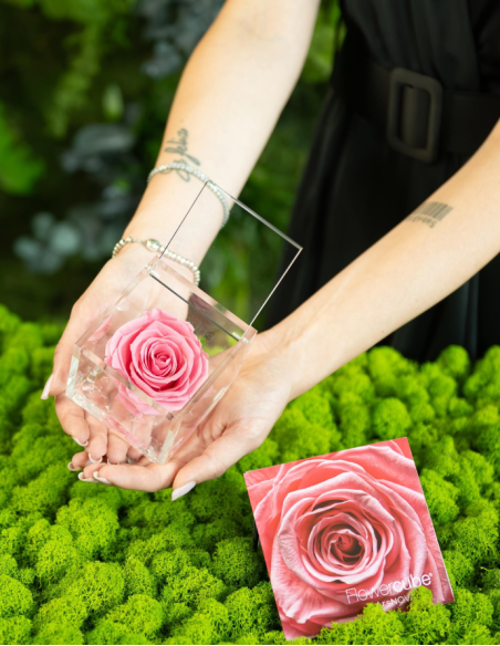 FLOWERCUBE 6X6 ROSA