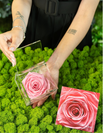 FLOWERCUBE ROSA 10X10 ROSA 2