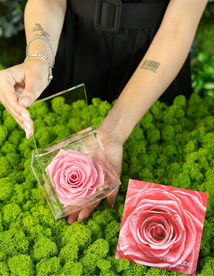 FLOWERCUBE ROSA 10X10 ROSA