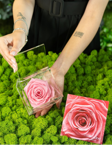 FLOWERCUBE ROSA 10X10 ROSA
