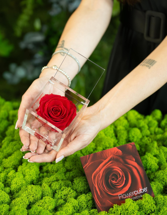 FLOWERCUBE 6X6 ROJO