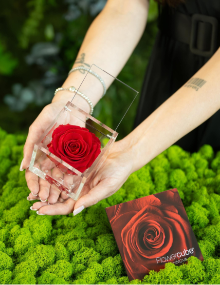 FLOWERCUBE 6X6 ROJO