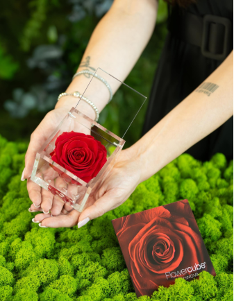 FLOWERCUBE ROSA 8X8 ROJA 2