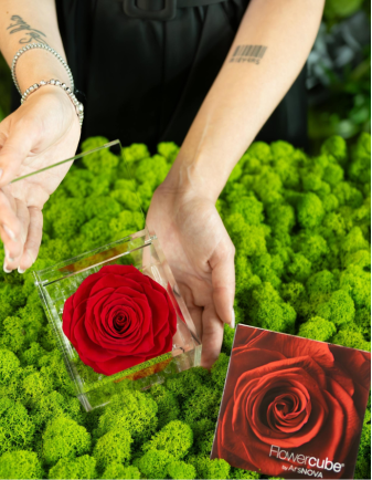 FLOWERCUBE ROSA 10X10 ROJO 2