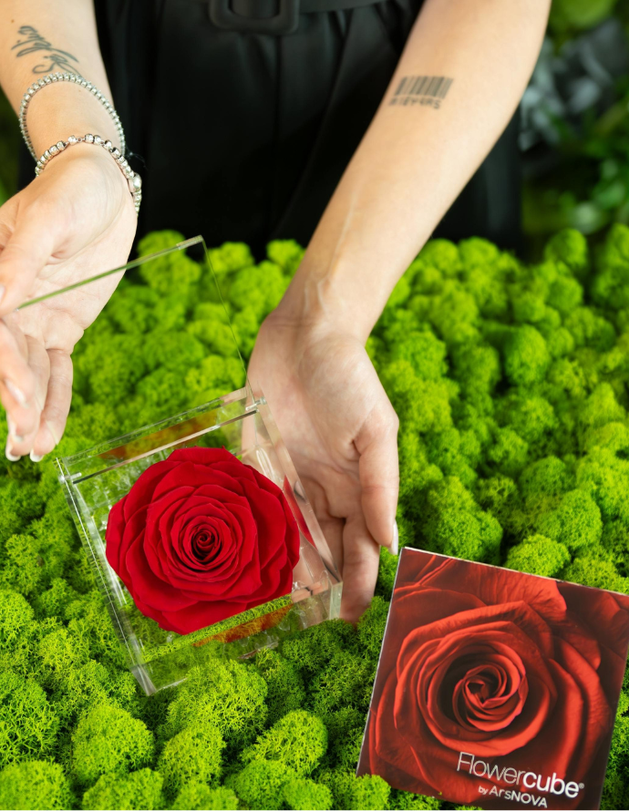 FLOWERCUBE ROSA 10X10 ROJO
