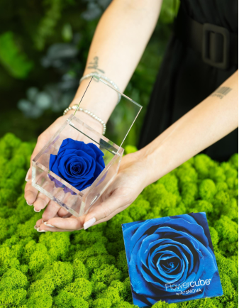 FLOWERCUBE 6X6 AZUL OSCURO 2