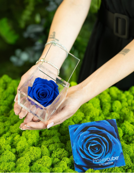 FLOWERCUBE 6X6 AZUL OSCURO