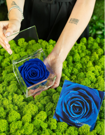 FLOWERCUBE ROSA 10X10 AZUL OSCURO 2