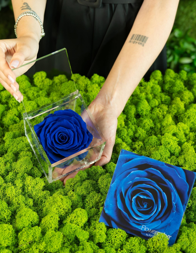 FLOWERCUBE ROSA 10X10 AZUL OSCURO